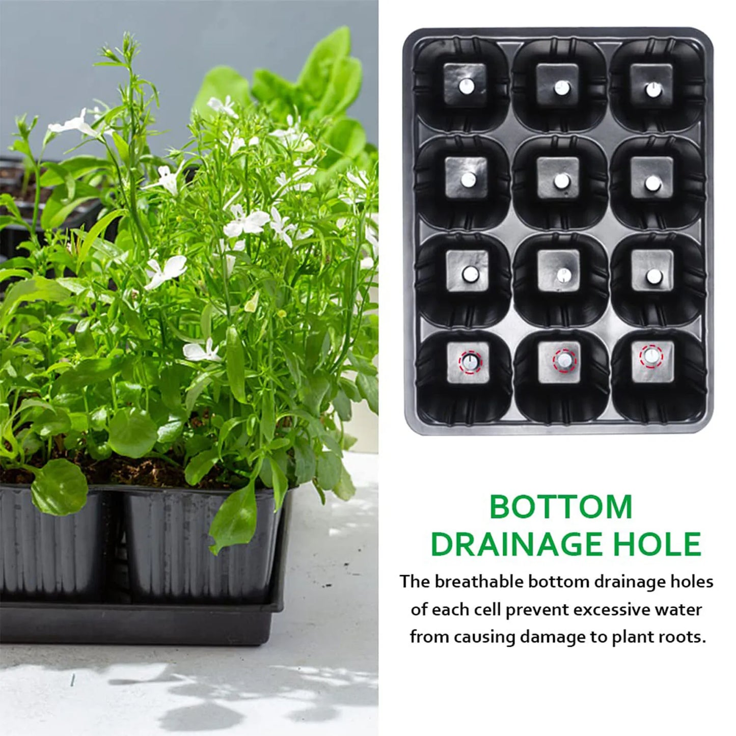 12 Holes Vegetable Seedling Pots Seedling Tray Garden Pots Durable Seed Germination Plant Flower Pots Grow Box For Planting
