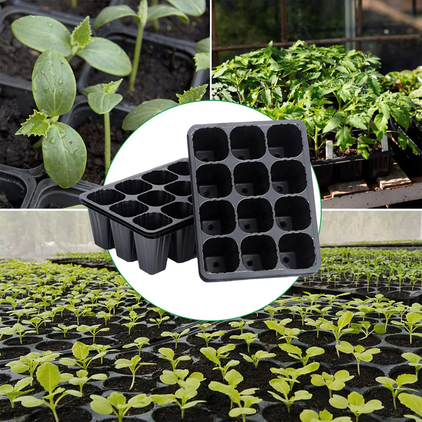 12 Holes Vegetable Seedling Pots Seedling Tray Garden Pots Durable Seed Germination Plant Flower Pots Grow Box For Planting