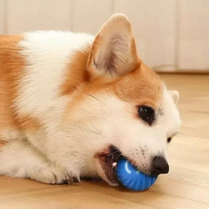 Pet Toy Ball Electric Interactive Game Automatic Smart Jumping Rolling Ball Rechargeable Moving Puppy Cat Entertainment Toys