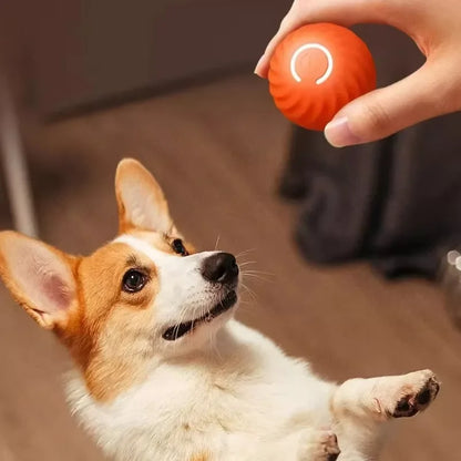 Pet Toy Ball Electric Interactive Game Automatic Smart Jumping Rolling Ball Rechargeable Moving Puppy Cat Entertainment Toys