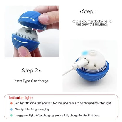 Pet Toy Ball Electric Interactive Game Automatic Smart Jumping Rolling Ball Rechargeable Moving Puppy Cat Entertainment Toys