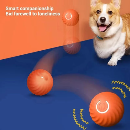 Pet Toy Ball Electric Interactive Game Automatic Smart Jumping Rolling Ball Rechargeable Moving Puppy Cat Entertainment Toys
